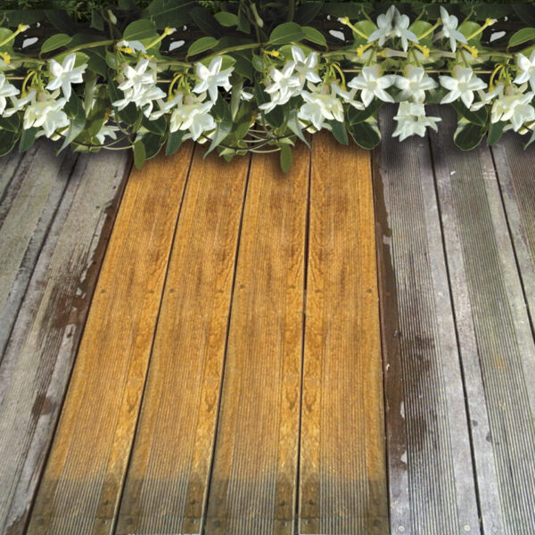 AQUANETT_terrasse2