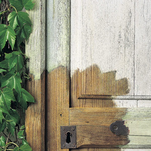 Dilunett_Porte_Aprs_Durieu