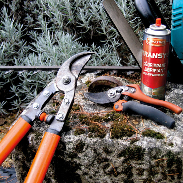 Transyl_Ambiance_secateurs_©Adfields