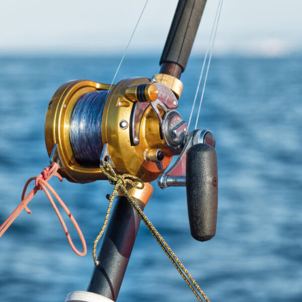 fishing reel and pole in boat during big game