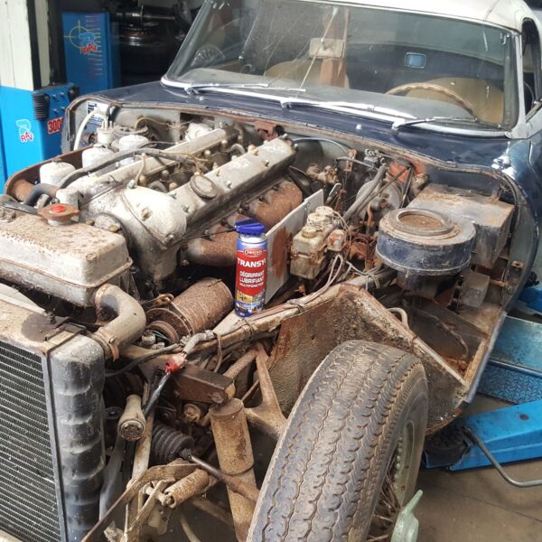 Transyl_moteur_Jaguar_TypeE_03